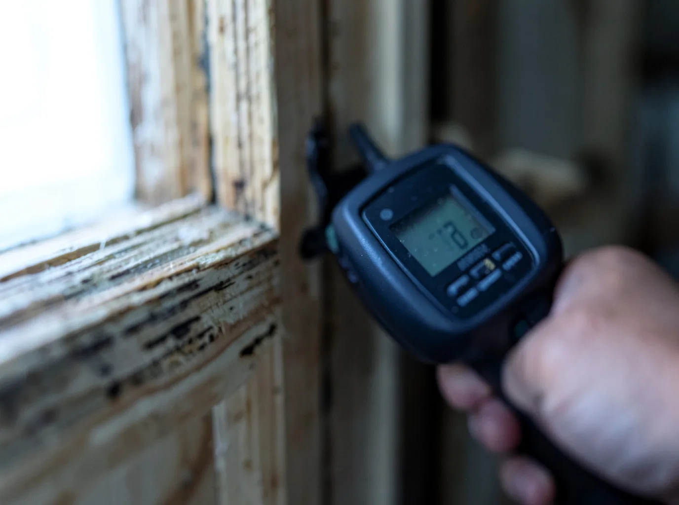 Water Damage Restoration Williston, FL FAQs